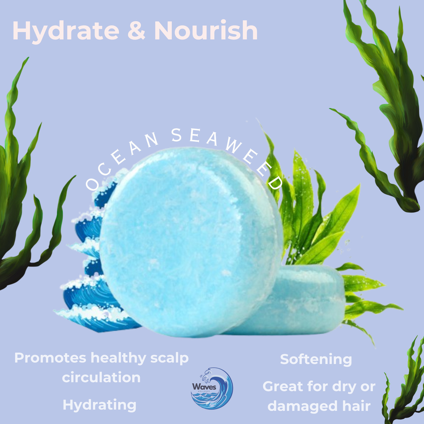 natural shampoo bar, ocean seaweed, waves wellness