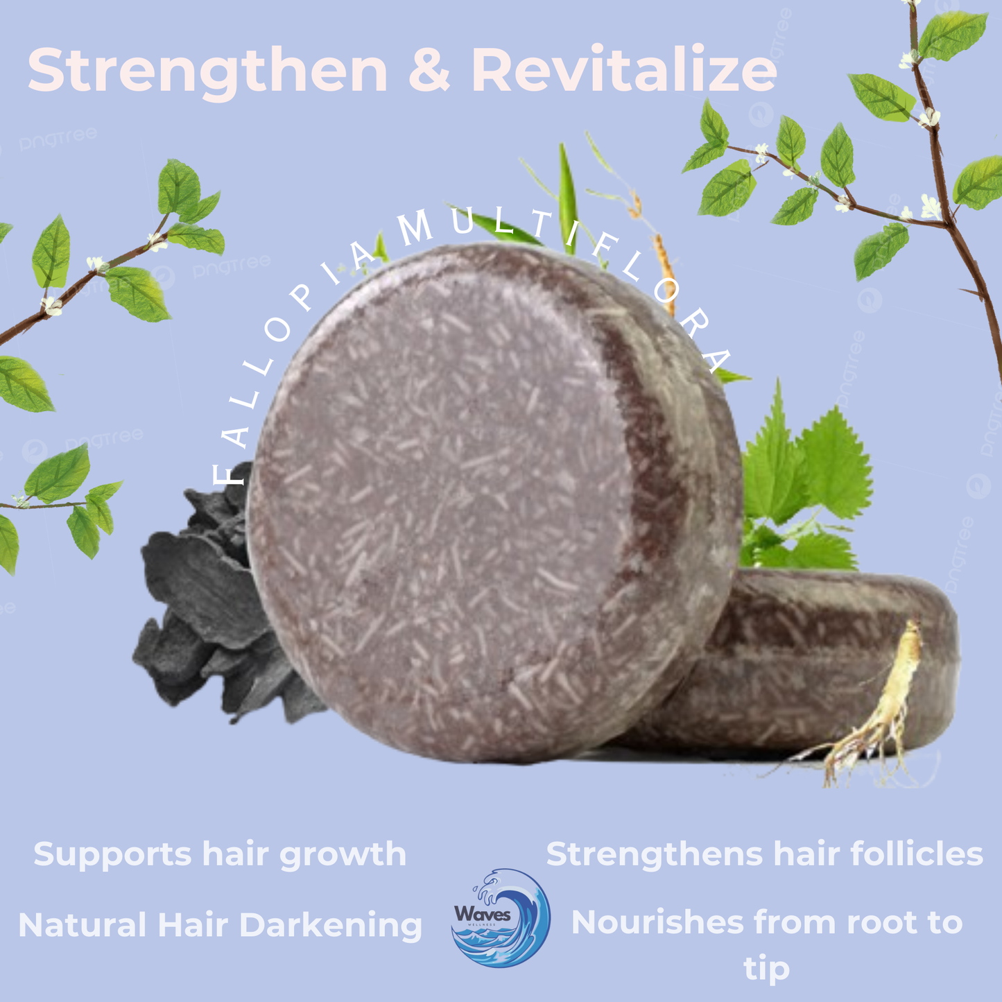natural shampoo bar, fallopia multiflora- polygonum multiflora, waves wellness