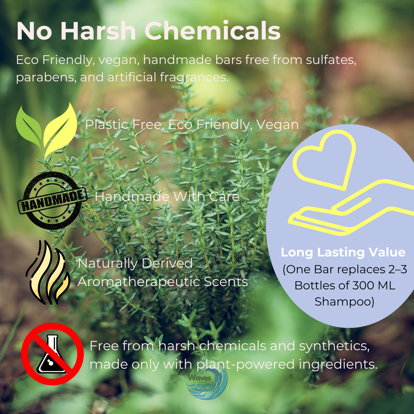 natural organic shampoo bars waves wellness