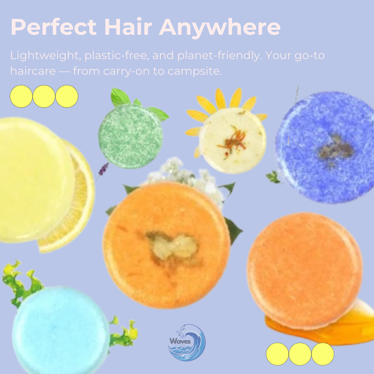 natural organic shampoo bars waves wellness 